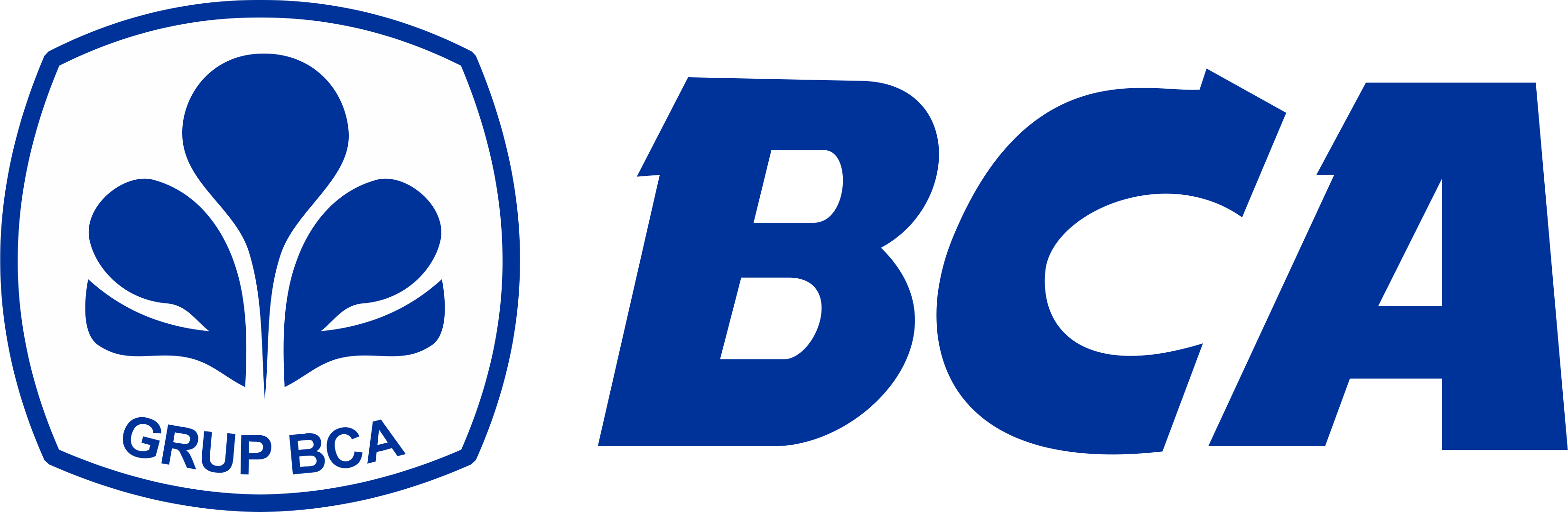 BCA